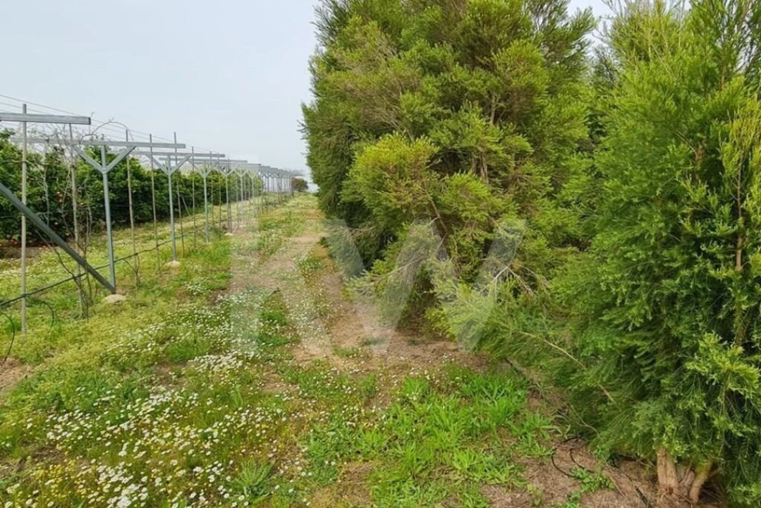 Terreno para Venda em Ladoeiro Foto 61