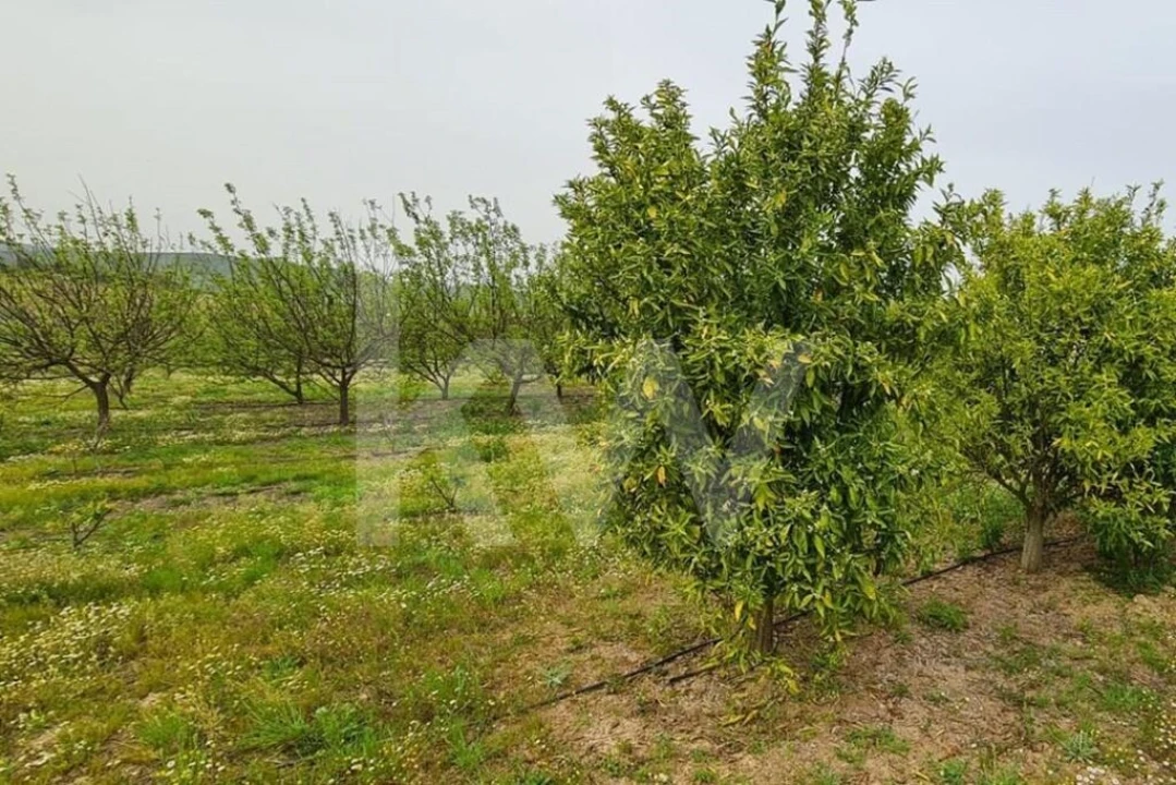 Terreno para Venda em Ladoeiro Foto 64