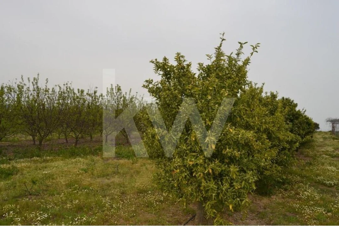Terreno para Venda em Ladoeiro Foto 84