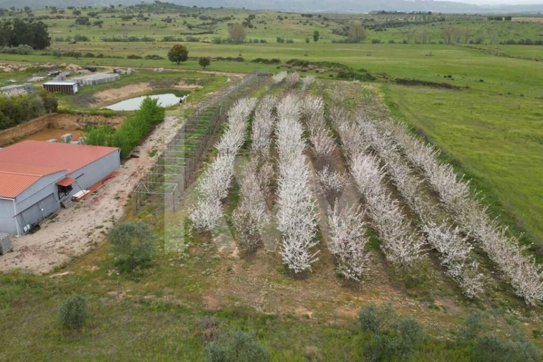Terreno para Venda em Ladoeiro Foto 106