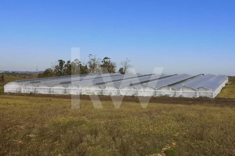 Terreno para Venda em Ladoeiro Foto 10