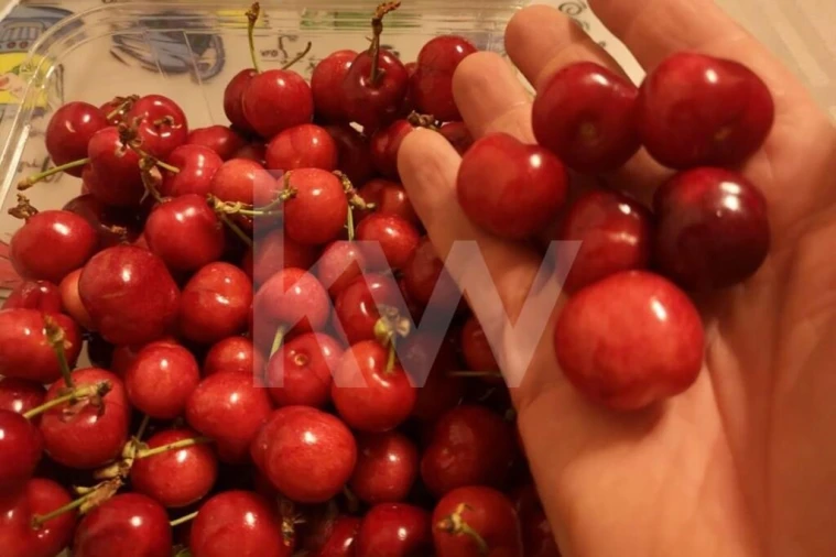 Terreno para Venda em Ladoeiro Foto 24