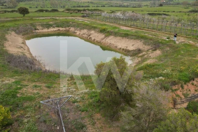 Terreno para Venda em Ladoeiro Foto 101