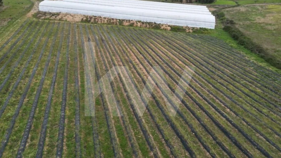 Terreno para Venda em Zebreira e Segura