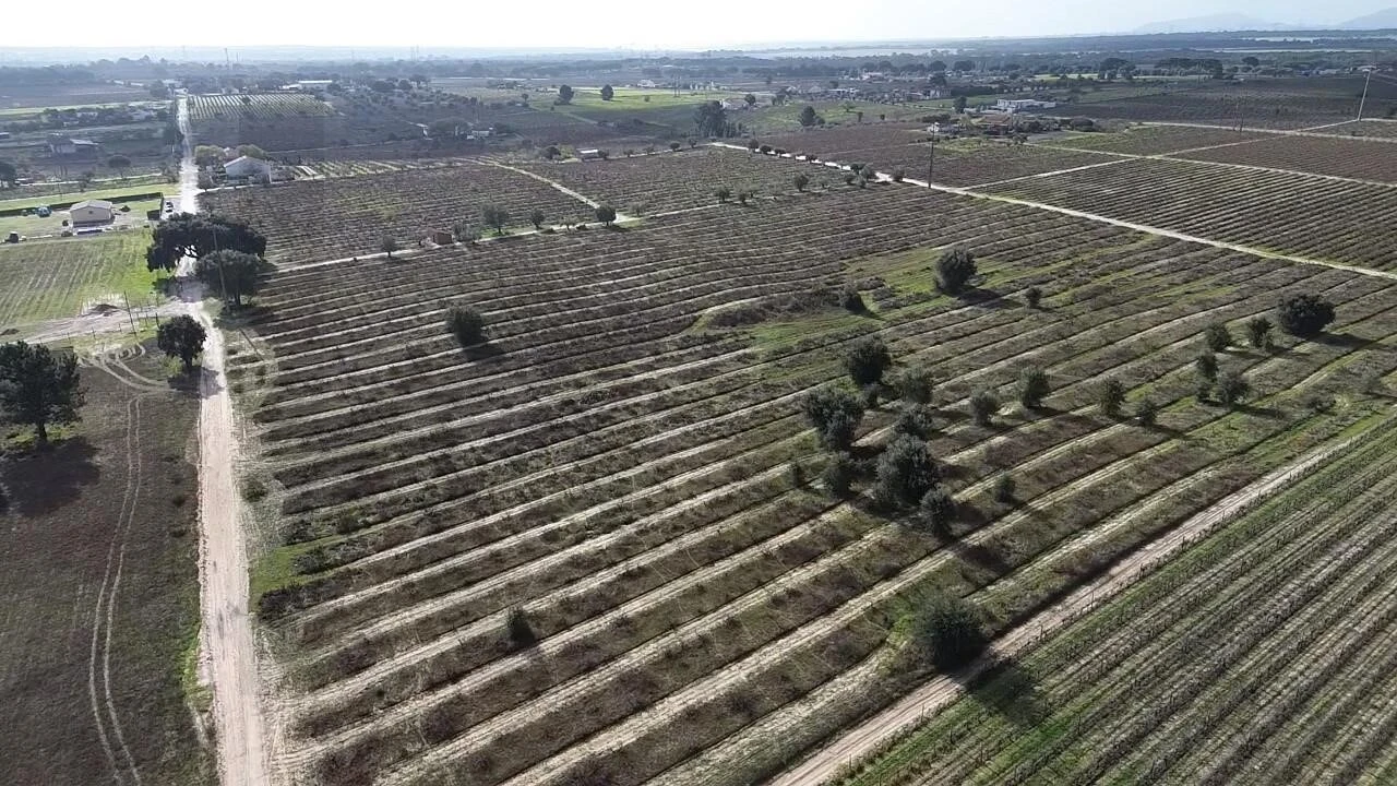 Terreno para Venda em Poceirão e Marateca Foto 7