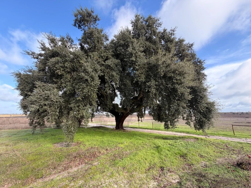 Terreno para Venda em Poceirão e Marateca Foto 8