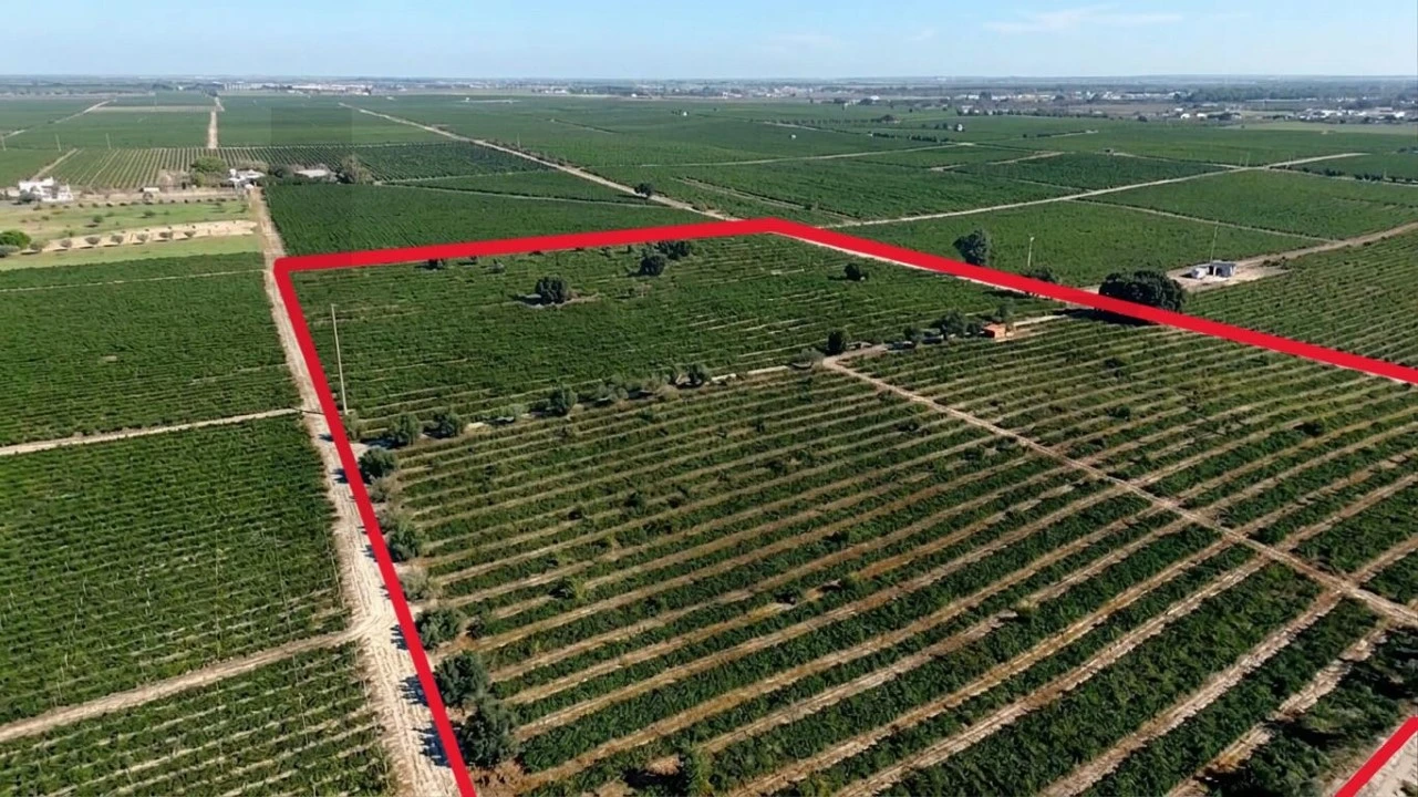 Terreno para Venda em Poceirão e Marateca Foto 4