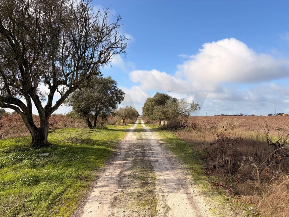 Terreno para Venda em Poceirão e Marateca Foto 7