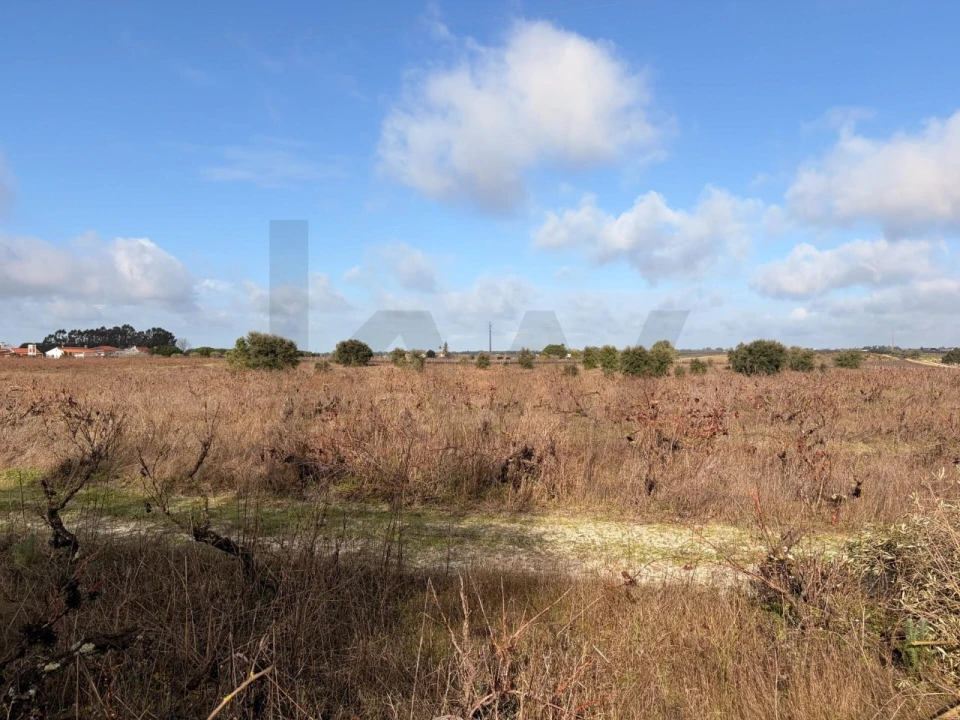 Terreno para Venda em Poceirão e Marateca Foto 9