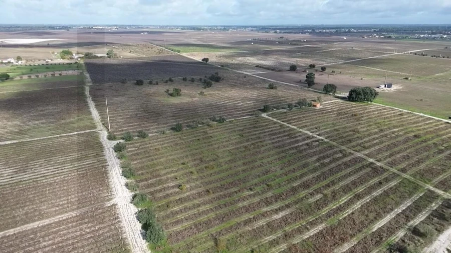 Terreno para Venda em Poceirão e Marateca Foto 6