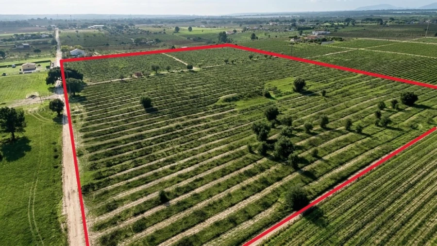 Terreno para Venda em Poceirão e Marateca Foto 5
