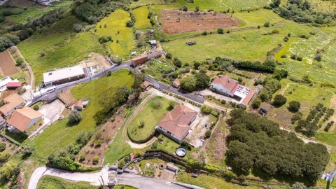 Terreno para Venda em Santo Quintino
