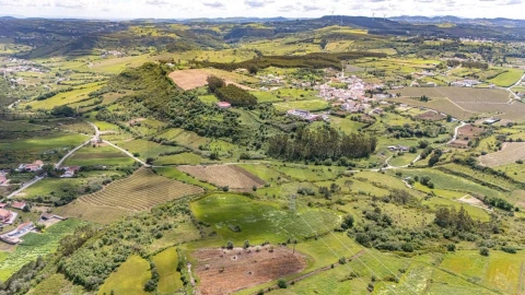 Terreno para Venda em Santo Quintino