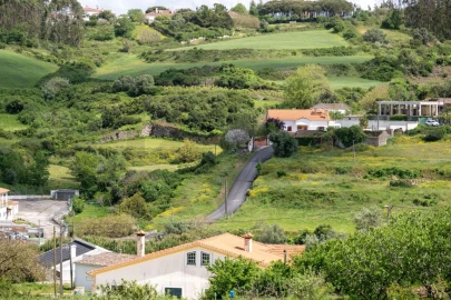 Terreno para Venda em Santo Quintino