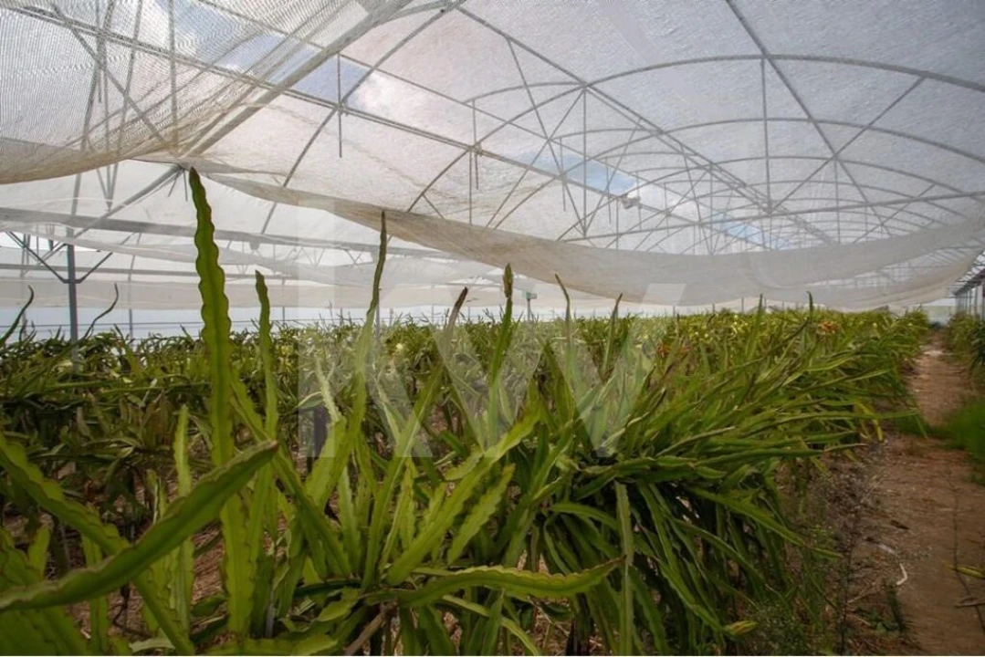 Terreno para Venda em São João das Lampas e Terrugem Foto 5