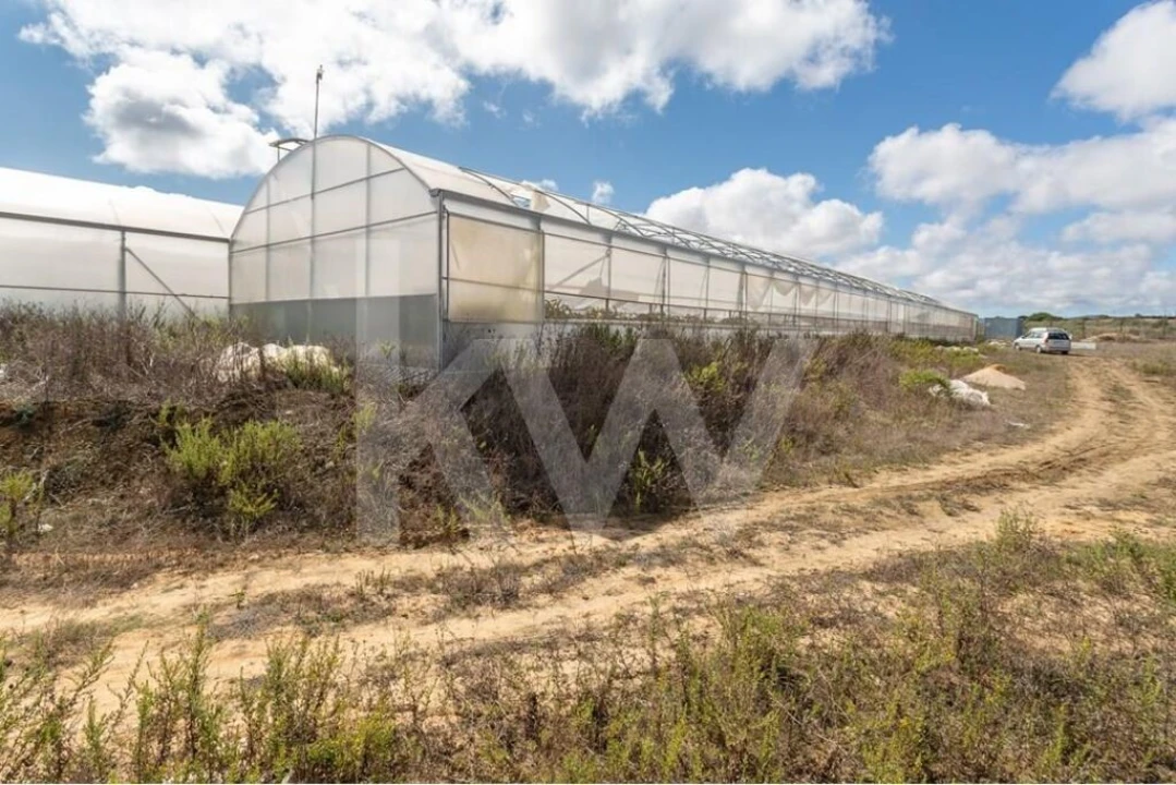 Terreno para Venda em São João das Lampas e Terrugem Foto 15