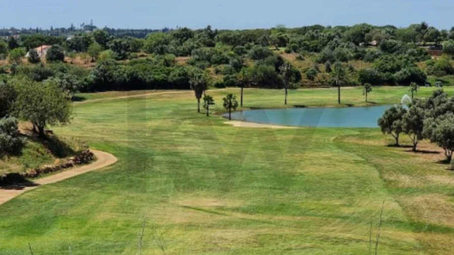 Terreno para Venda em Alcantarilha e Pêra Foto 12