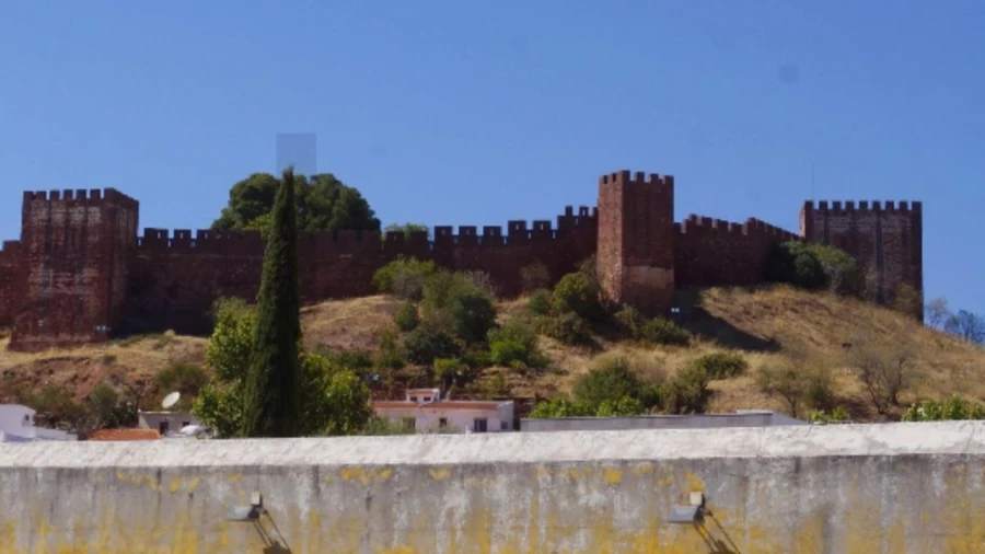 Terreno para Venda em Alcantarilha e Pêra Foto 14