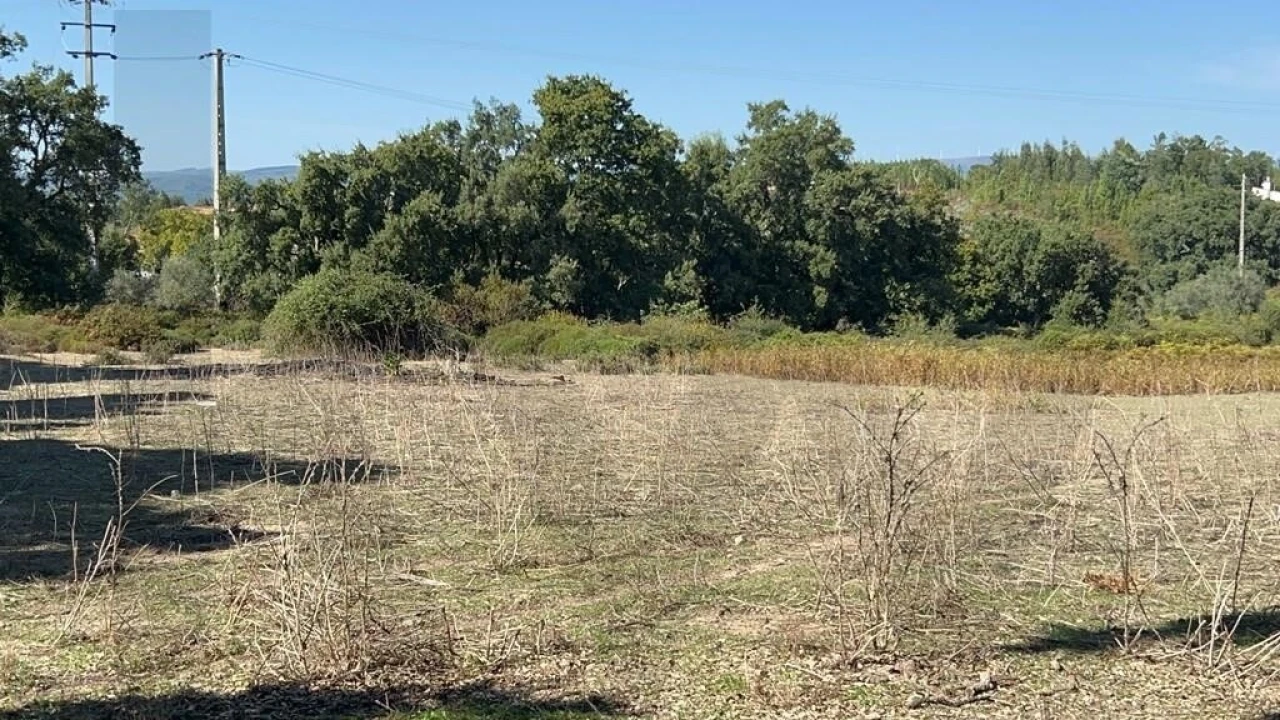 Terreno para Venda em Pedrogão Grande Foto 21