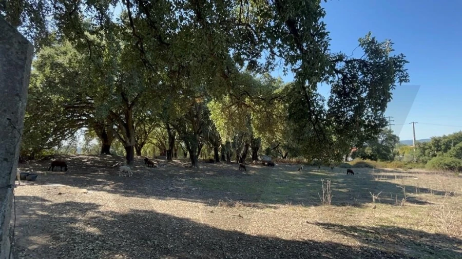 Terreno para Venda em Pedrogão Grande Foto 20