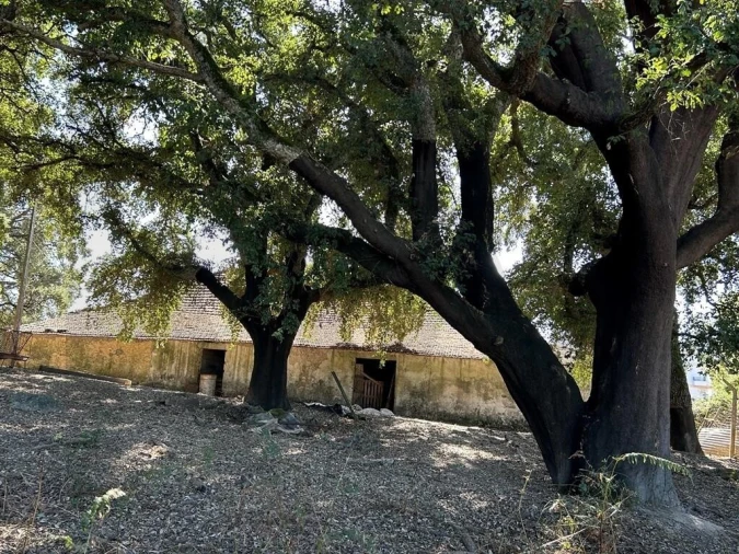 Terreno para Venda em Pedrogão Grande