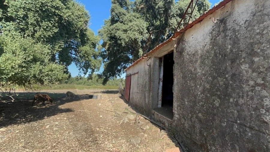 Terreno para Venda em Pedrogão Grande Foto 16