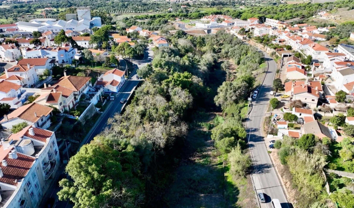 Terreno para Venda em Santiago do Cacém, Santa Cruz e São Bartolomeu da Serra Foto 10
