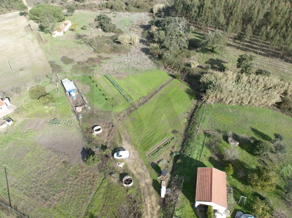 Terreno para Venda em São Domingos e Vale de Água Foto 4
