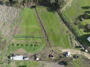 Terreno para Venda em São Domingos e Vale de Água