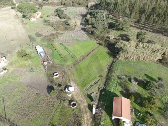 Terreno para Venda em São Domingos e Vale de Água Foto 4