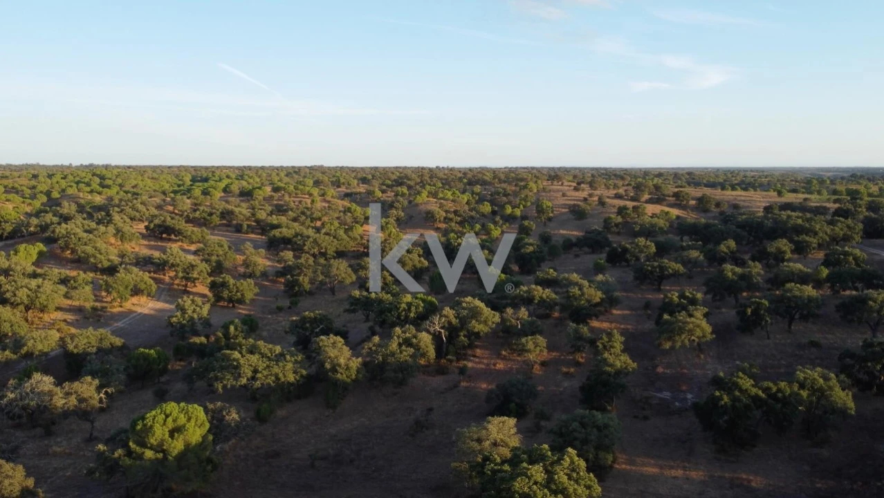 Terreno para Venda em Figueira dos Cavaleiros Foto 2
