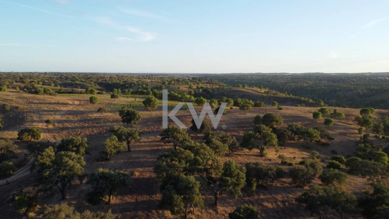 Terreno para Venda em Figueira dos Cavaleiros Foto 3
