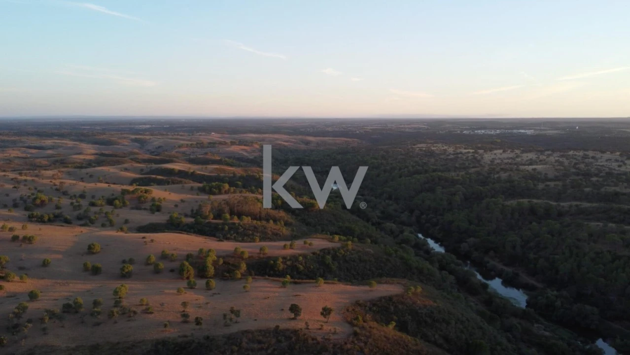 Terreno para Venda em Figueira dos Cavaleiros Foto 11