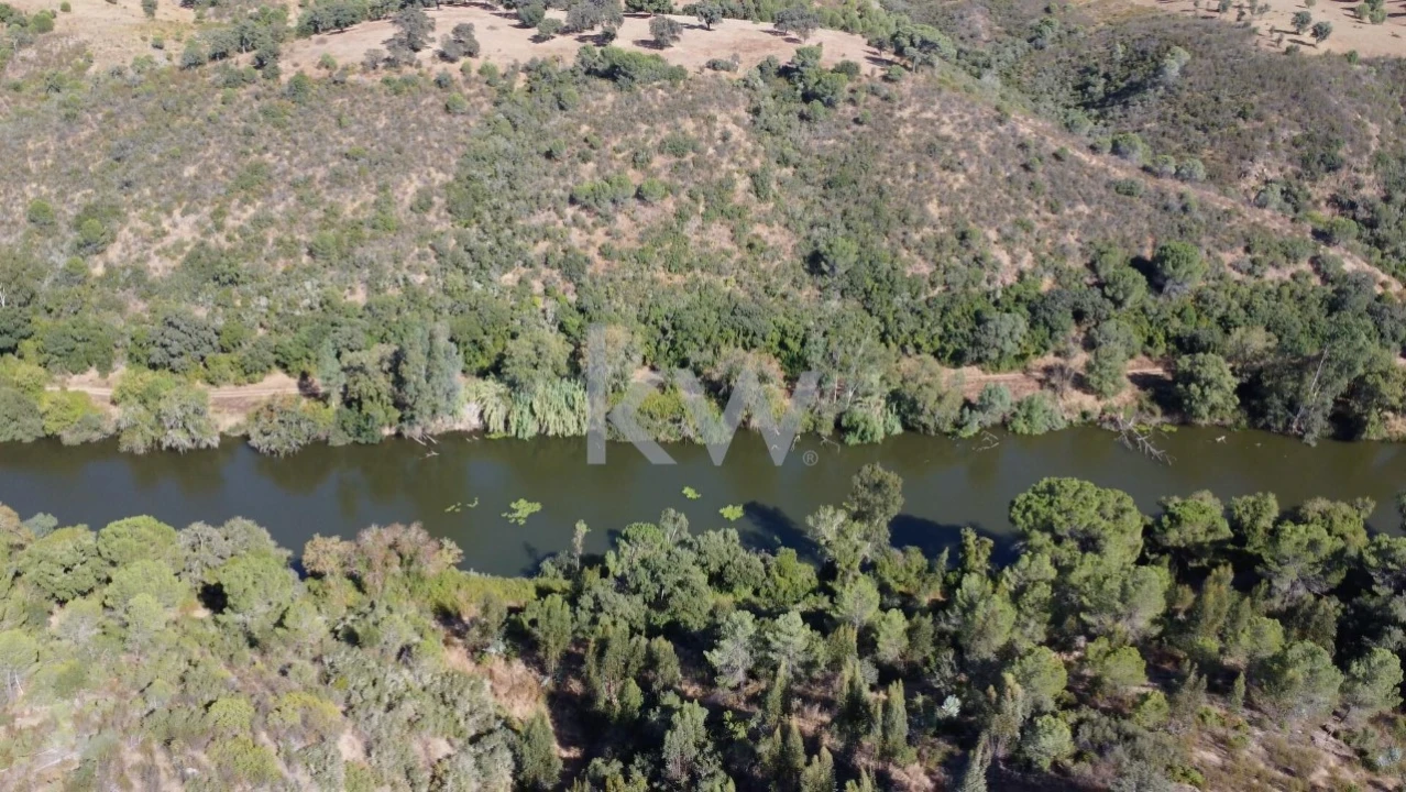 Terreno para Venda em Figueira dos Cavaleiros Foto 13