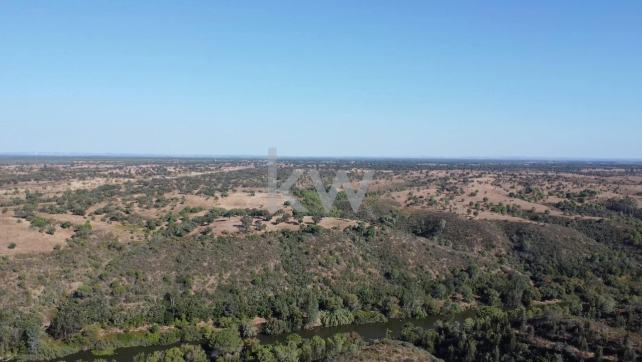 Terreno para Venda em Figueira dos Cavaleiros Foto 21