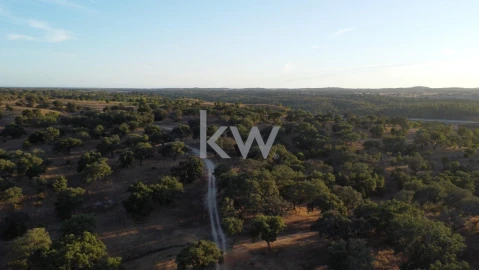 Terreno para Venda em Figueira dos Cavaleiros