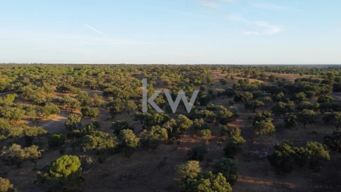 Terreno para Venda em Figueira dos Cavaleiros
