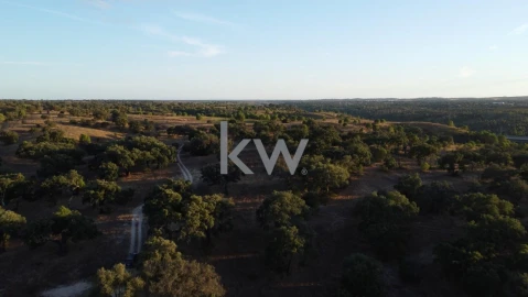 Terreno para Venda em Figueira dos Cavaleiros