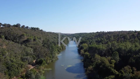 Terreno para Venda em Figueira dos Cavaleiros