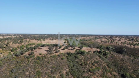 Terreno para Venda em Figueira dos Cavaleiros