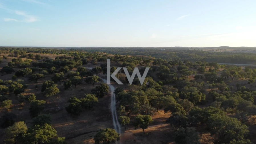 Terreno para Venda em Figueira dos Cavaleiros