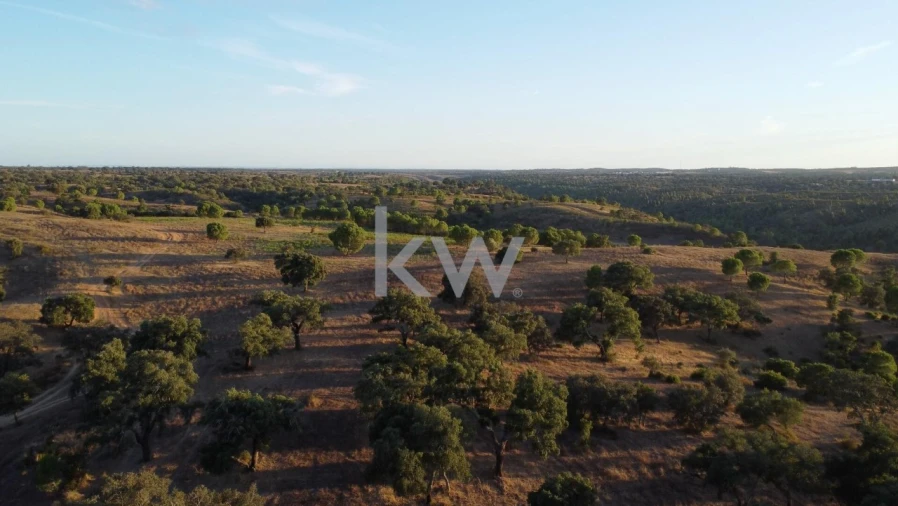 Terreno para Venda em Figueira dos Cavaleiros Foto 3