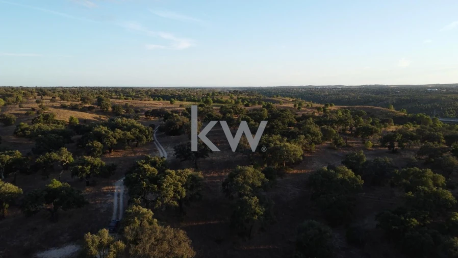 Terreno para Venda em Figueira dos Cavaleiros Foto 4