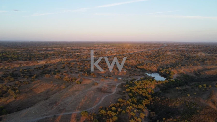 Terreno para Venda em Figueira dos Cavaleiros Foto 10