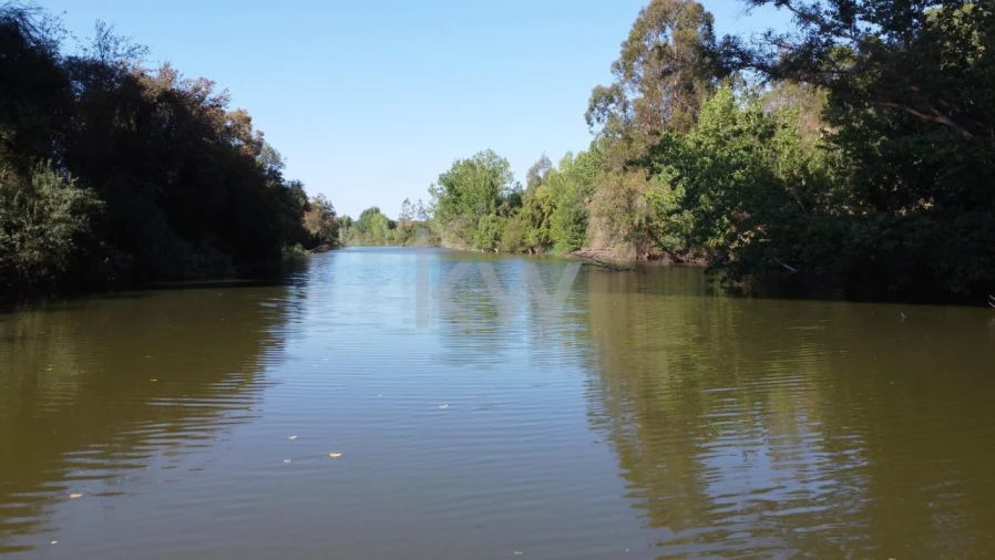 Terreno para Venda em Figueira dos Cavaleiros Foto 14