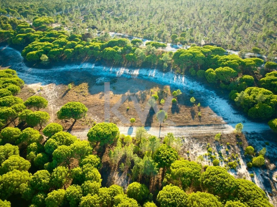 Terreno para Venda em Melides Foto 6