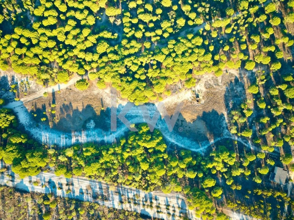 Terreno para Venda em Melides Foto 8