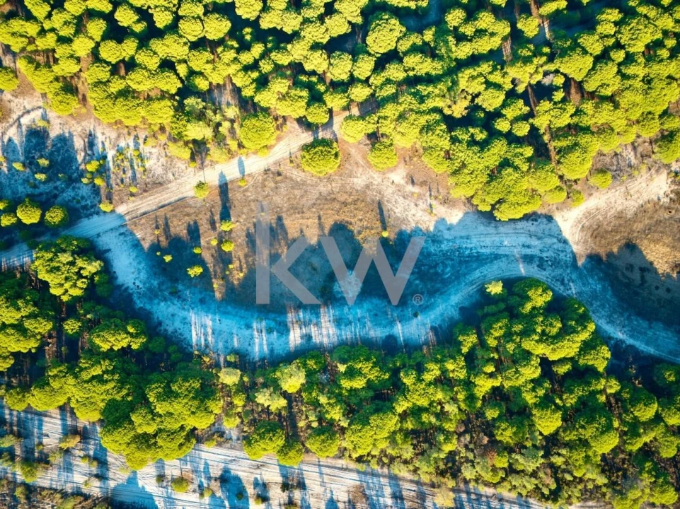 Terreno para Venda em Melides Foto 11