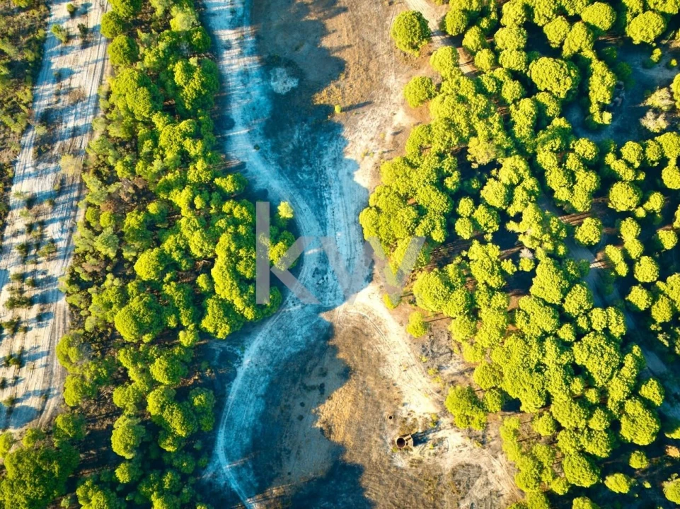 Terreno para Venda em Melides Foto 13