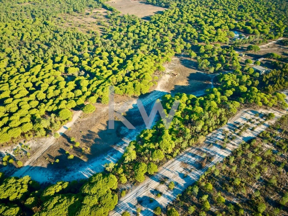 Terreno para Venda em Melides Foto 16